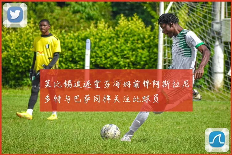 莱比锡追逐霍芬海姆前锋阿斯拉尼多特与巴萨同样关注此球员
