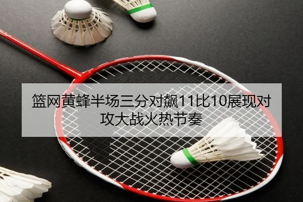 篮网黄蜂半场三分对飙11比10展现对攻大战火热节奏